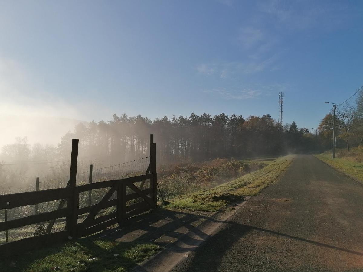 Au Repos De Zoe Villa Waulsort Buitenkant foto
