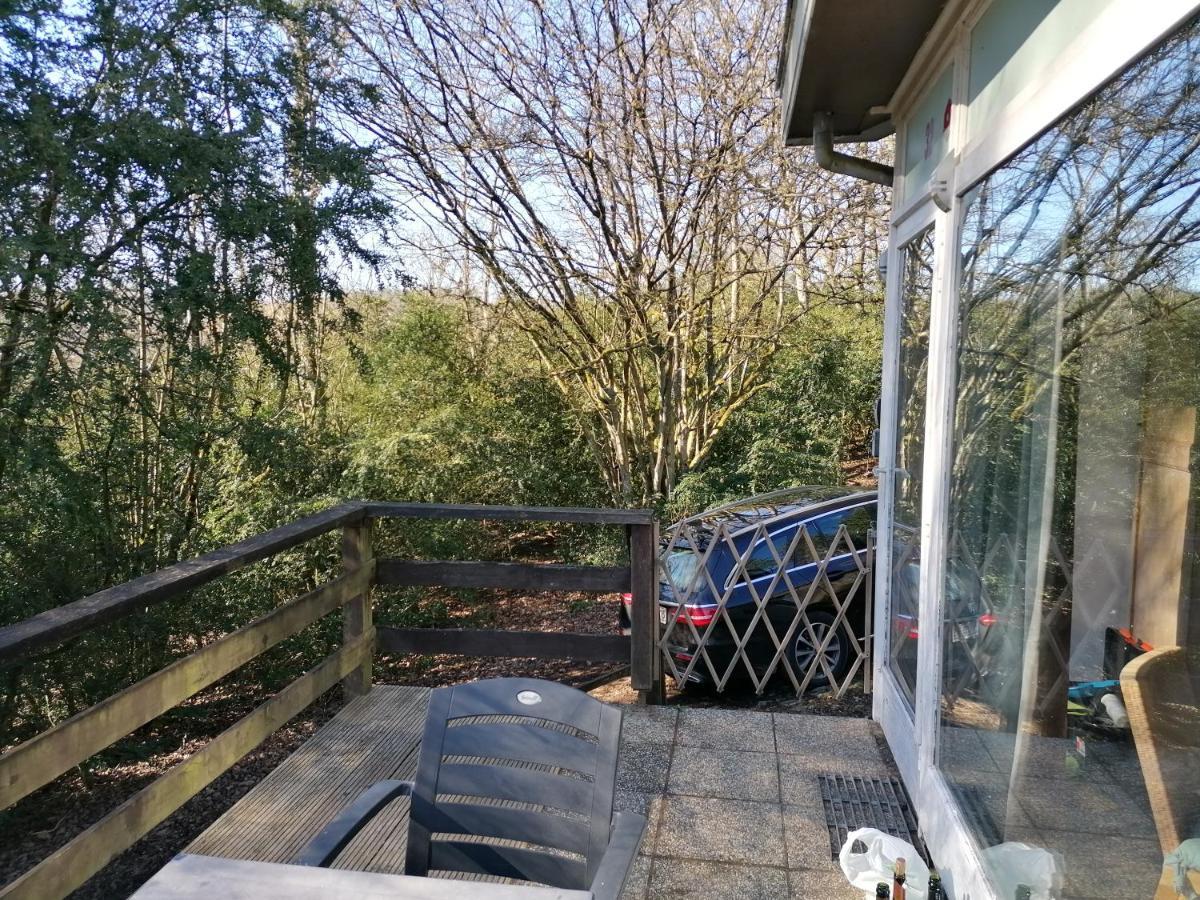 Au Repos De Zoe Villa Waulsort Buitenkant foto