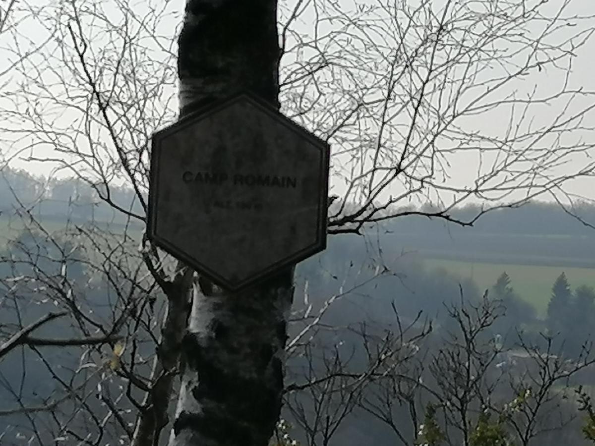 Au Repos De Zoe Villa Waulsort Buitenkant foto