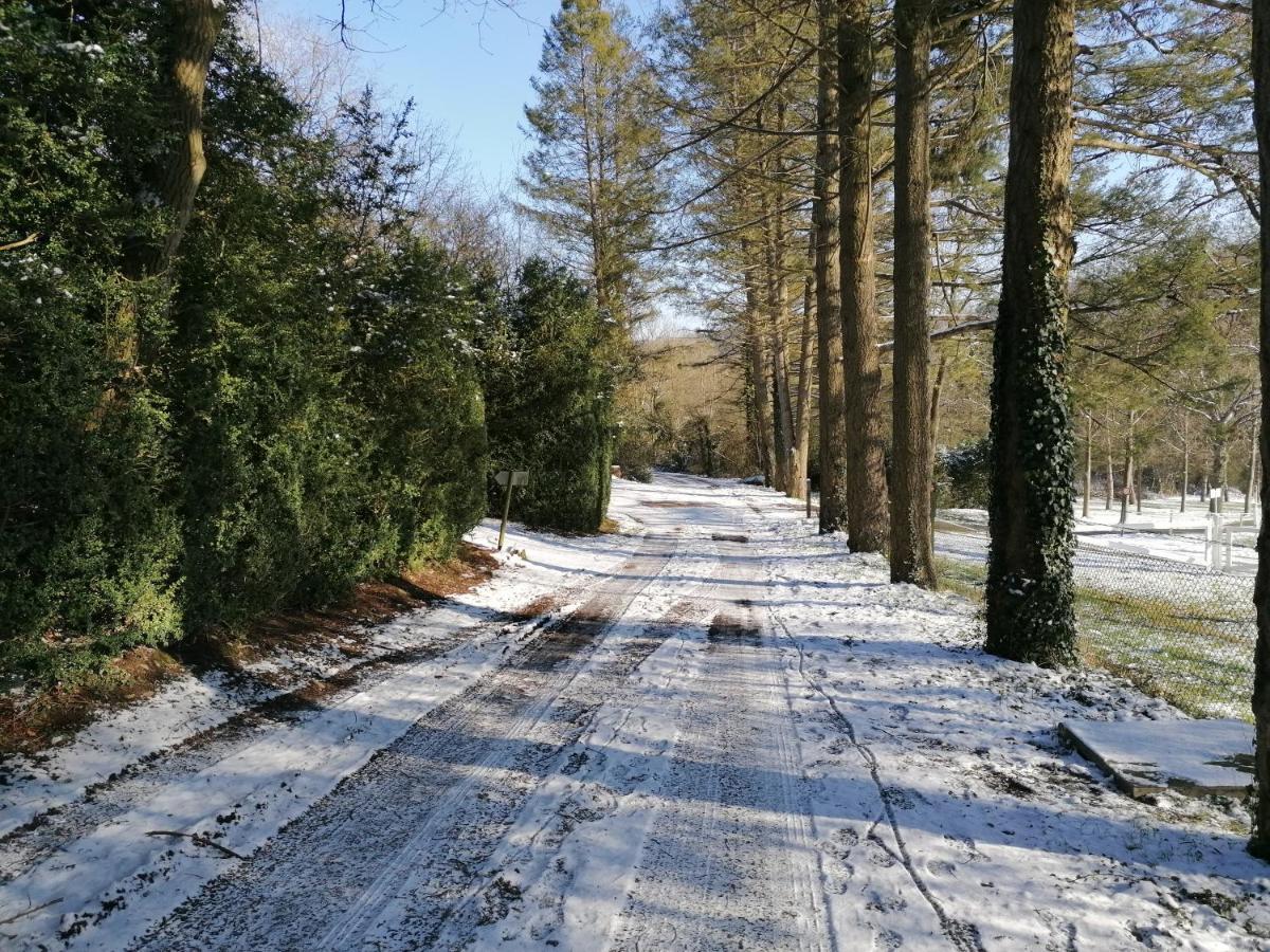 Au Repos De Zoe Villa Waulsort Buitenkant foto