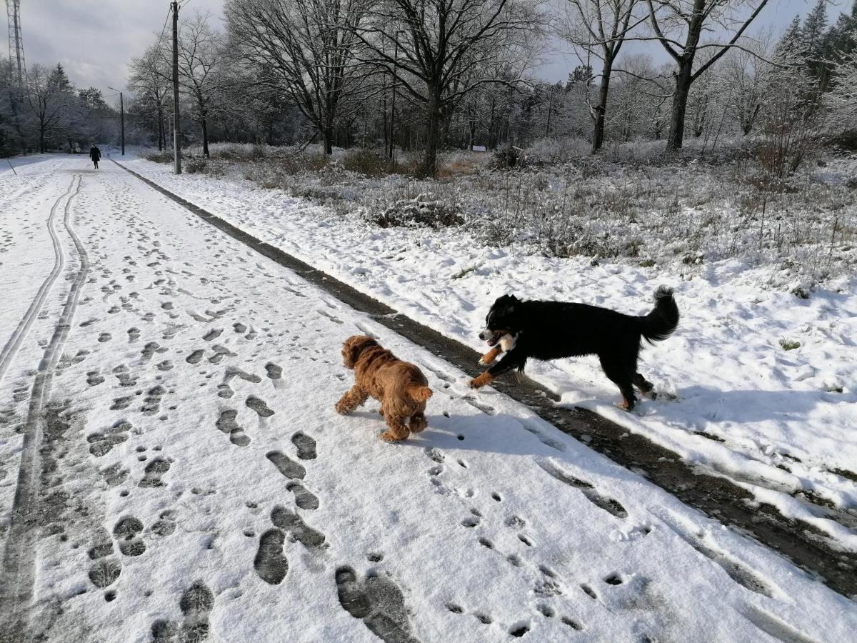 Au Repos De Zoe Villa Waulsort Buitenkant foto
